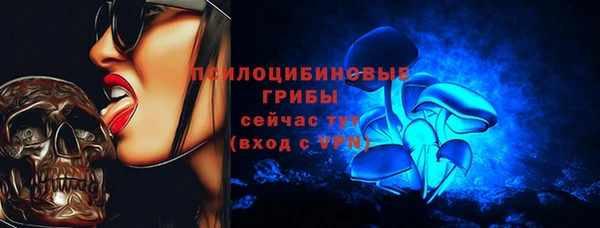 эйфоретик Богданович
