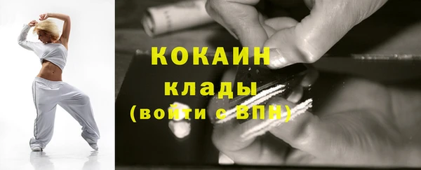 эйфоретик Богданович