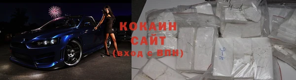 эйфоретик Богданович