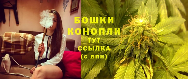 амф Богородицк