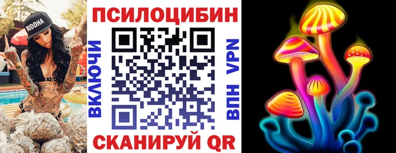 Псилоцибиновые грибы Psilocybe  Купить закладки  Белореченск 